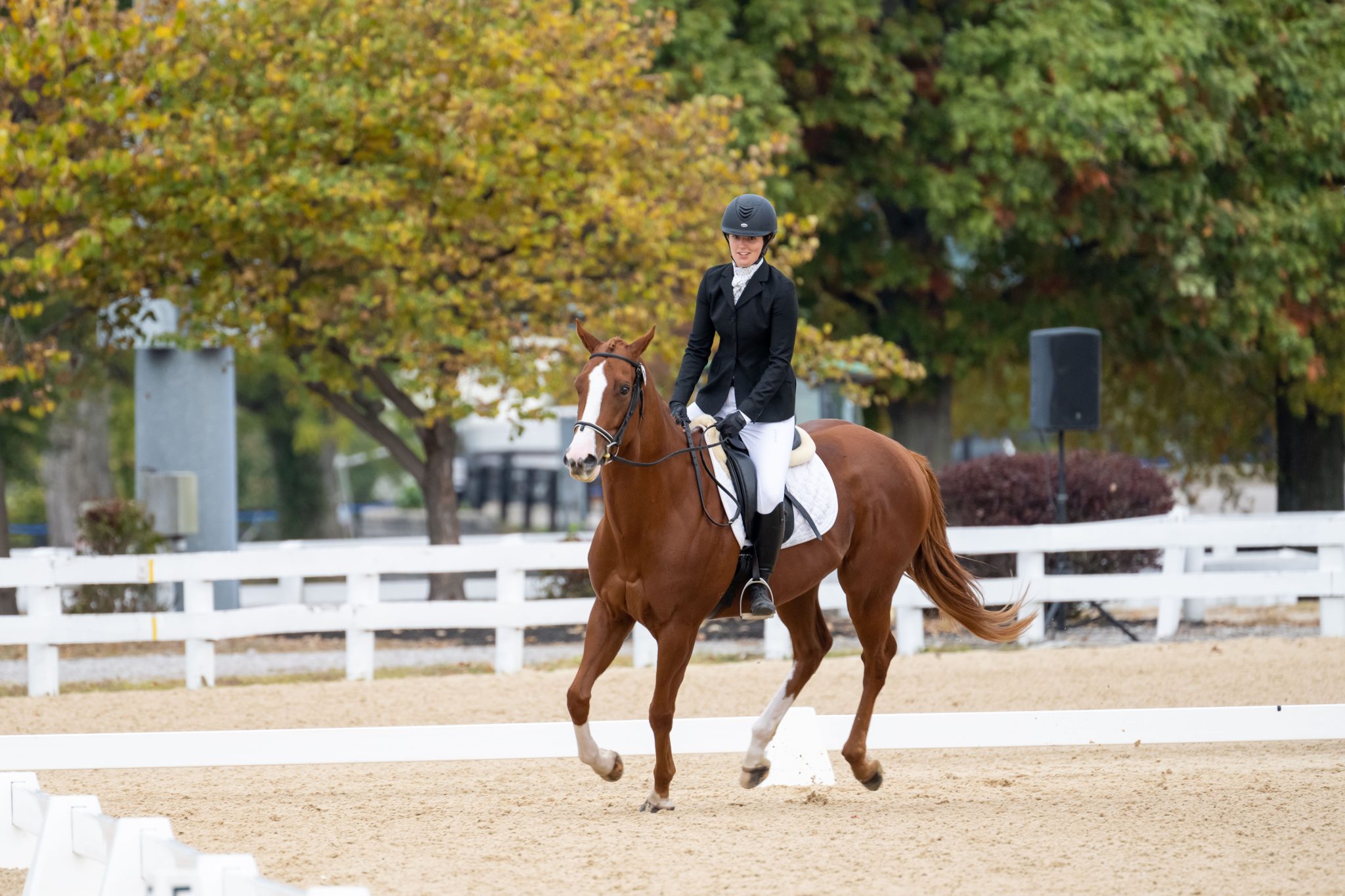 Asbury Equine Students to Participate in Annual Thoroughbred Makeover ...